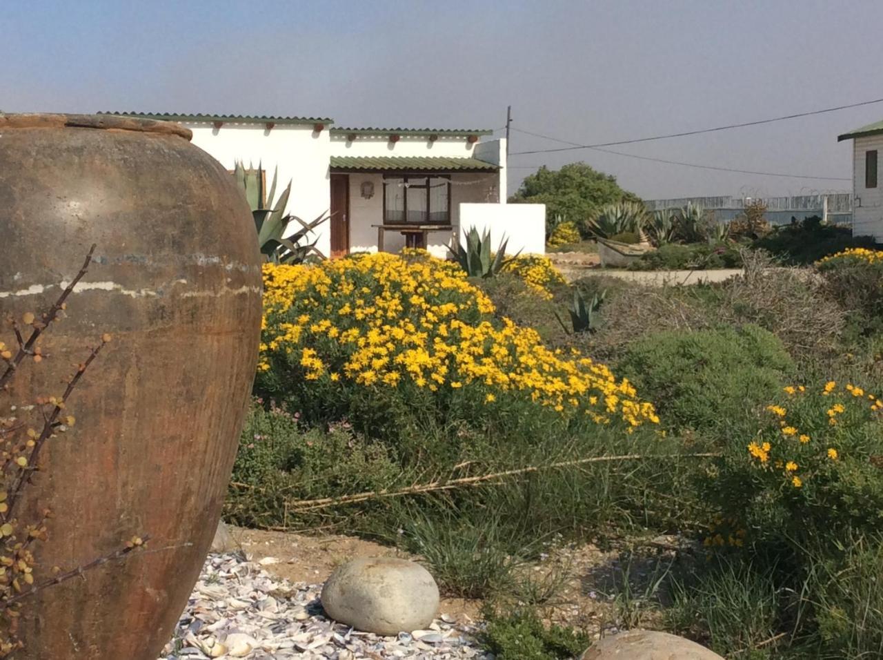Honnehokke Resort Hondeklipbaai Zewnętrze zdjęcie