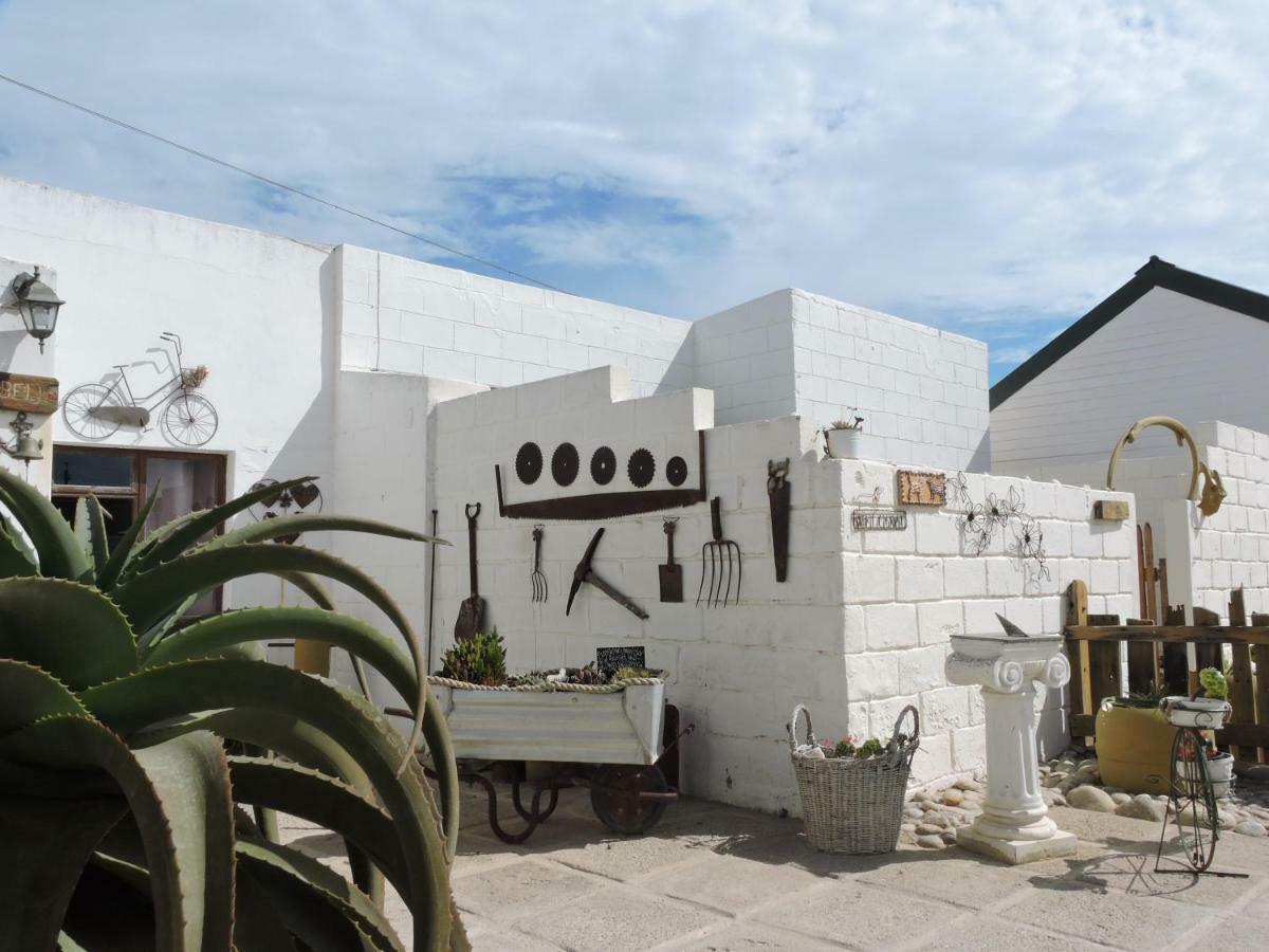 Honnehokke Resort Hondeklipbaai Zewnętrze zdjęcie