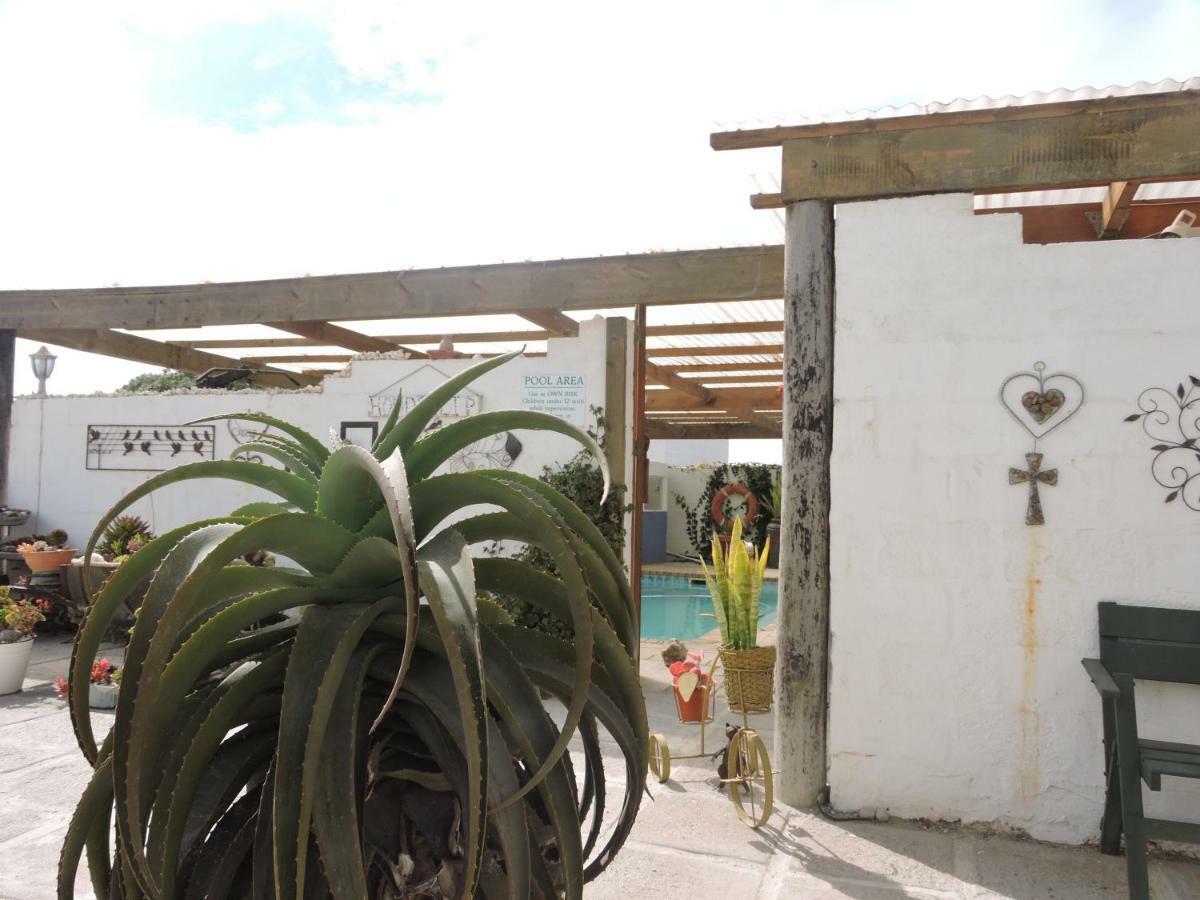 Honnehokke Resort Hondeklipbaai Zewnętrze zdjęcie